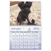 Minimalisatieschema, JAAR/GROOTTE/KLEUR/ONTWERP Kalender (Jan 2026)