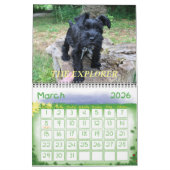 Minimalisatieschema, JAAR/GROOTTE/KLEUR/ONTWERP Kalender (Mar 2026)