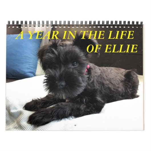 Minimalisatieschema, JAAR/GROOTTE/KLEUR/ONTWERP Kalender (Hoes)