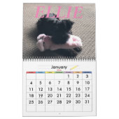 Minimalisatieschema, JAAR/GROOTTE/KLEUR/ONTWERP Kalender (Jan 2026)