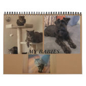 Minimalisatieschema, JAAR/GROOTTE/KLEUR/ONTWERP Kalender (Hoes)