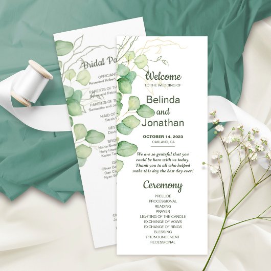 Minimaliseringsprogramma Eucalyptus Waterverf Programmakaart