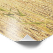 Minimalist Abstract Nature – Calming Wall Art Foto Afdruk (Hoek)