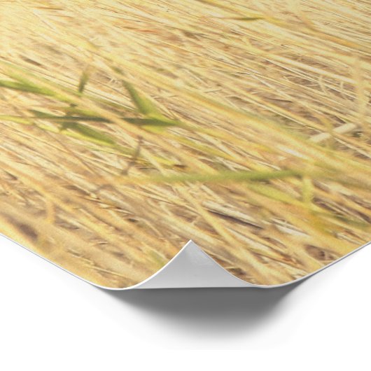 Minimalist Abstract Nature – Calming Wall Art Poster (Hoek)