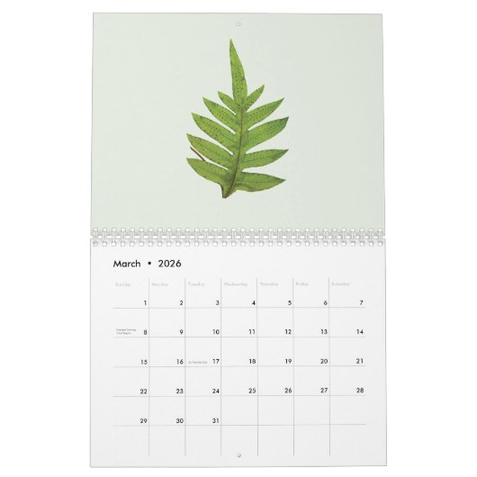 Minimalist Art Botanical 2026 Calendar Kalender (Mar 2026)