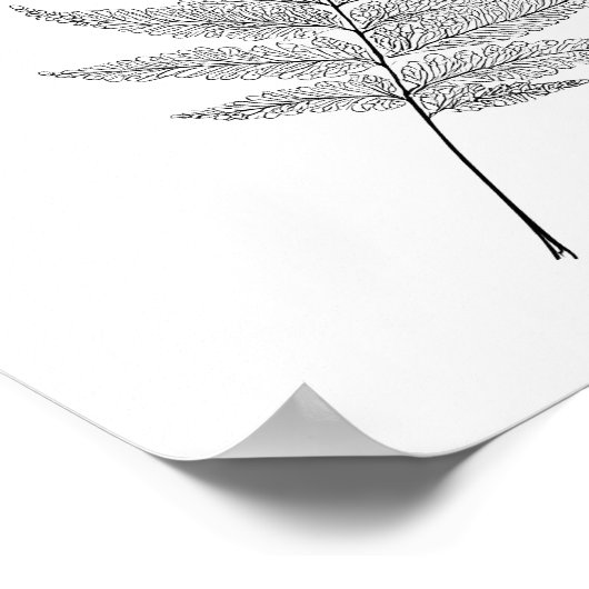 Minimalist Botanical Print: Elegant Fractal Fern Poster (Hoek)