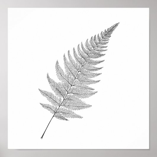Minimalist Botanical Print: Elegant Fractal Fern Poster (Voorkant)