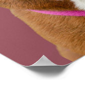 Minimalist Dog Portrait Wall Art Poster (Hoek)