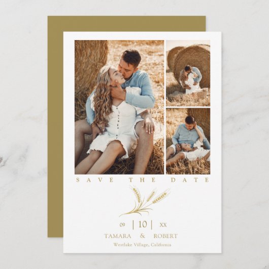 Minimalist Golden Wheat 3 Photos Collage Wedding (Voorkant / Achterkant)