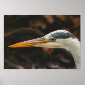 Minimalist Grey Heron Profile Fine Art Print (Voorkant)