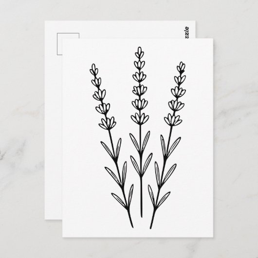 Minimalist Lavender Sprigs Botanical Line Art  Briefkaart (Voorkant / Achterkant)
