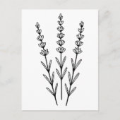 Minimalist Lavender Sprigs Botanical Line Art  Briefkaart (Voorkant)