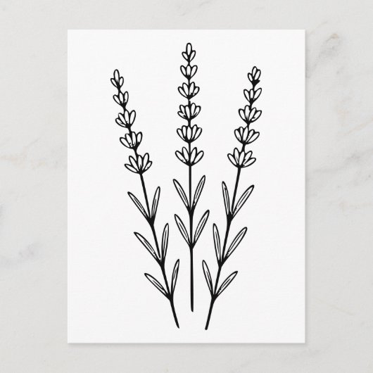 Minimalist Lavender Sprigs Botanical Line Art  Briefkaart (Voorkant)
