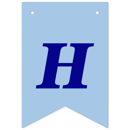 Minimalist Light Blue Kids Birthday Bunting Banner (Eerste vlag)