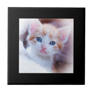 Minimalist Modern Black Border Photo Tegeltje