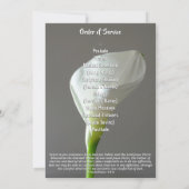 Minimalist Peace Lily Funeral Program Aankondiging (Achterkant)