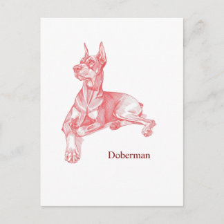 Minimalist Red Pencil Doberman Pinscher Sketch  Briefkaart