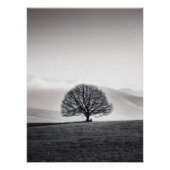 Minimalist Solitary Tree Landscape | Black & White Perfect Poster (Voorkant)