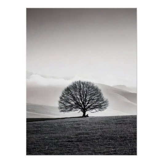 Minimalist Solitary Tree Landscape | Black & White Perfect Poster (Voorkant)
