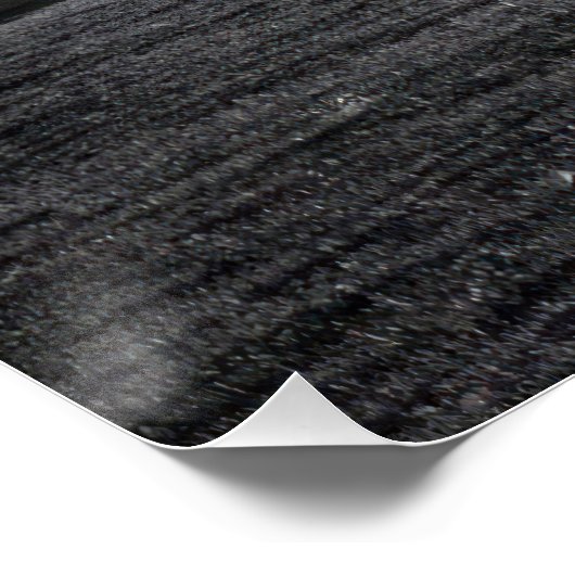 Minimalist Solitary Tree Landscape | Black & White Perfect Poster (Hoek)