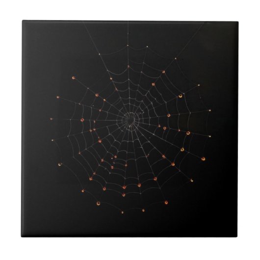 Minimalist Spider Web Halloween Ceramic Tile Tegeltje (Voorkant)