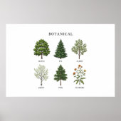 Minimalist Tree Names Poster (Voorkant)