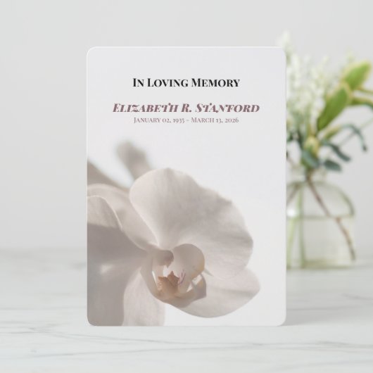 Minimalist White Orchid Memorial Program Kaart (Staand voorkant)