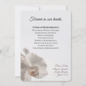 Minimalist White Orchid Memorial Program Kaart (Achterkant)