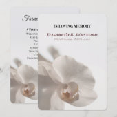 Minimalist White Orchid Memorial Program Kaart (Voorkant / Achterkant)
