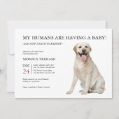 Minimalistisch Baby shower voor labrador Retriever Kaart (Voorkant)