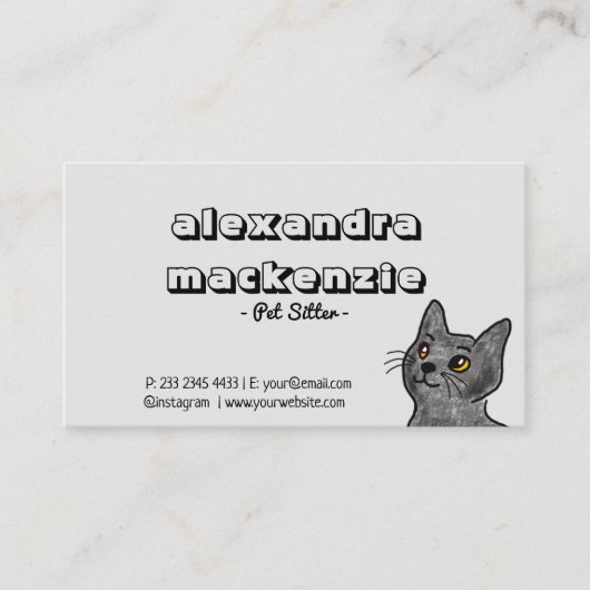 Minimalistisch computerdieet en hondenhuiszorg visitekaartje (Voorkant)