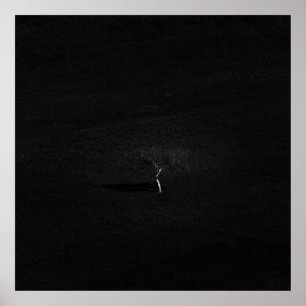 Minimalistisch eenzame boom in zwart-wit poster