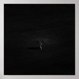 Minimalistisch eenzame boom in zwart-wit poster