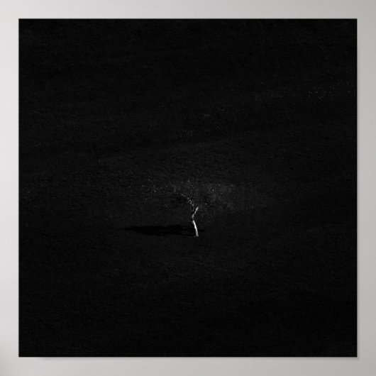 Minimalistisch eenzame boom in zwart-wit poster (Voorkant)