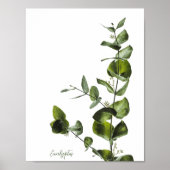 Minimalistisch Elegant Sage Eucalyptus Poster (Voorkant)