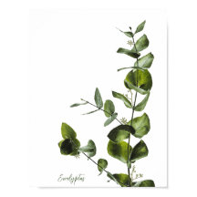 Minimalistisch Elegant Sage Eucalyptus Poster