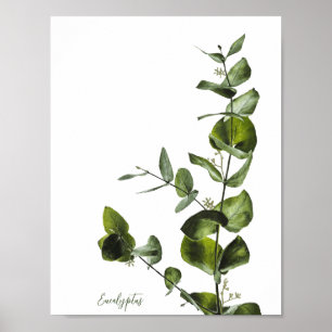 Minimalistisch Elegant Sage Eucalyptus Poster