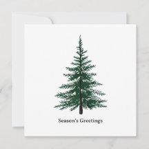 Minimalistisch Evergreen Tree Design Eenvoudige ha
