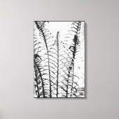 Minimalistisch fern Leaves Black en White Botanica Canvas Afdruk (Voorkant)