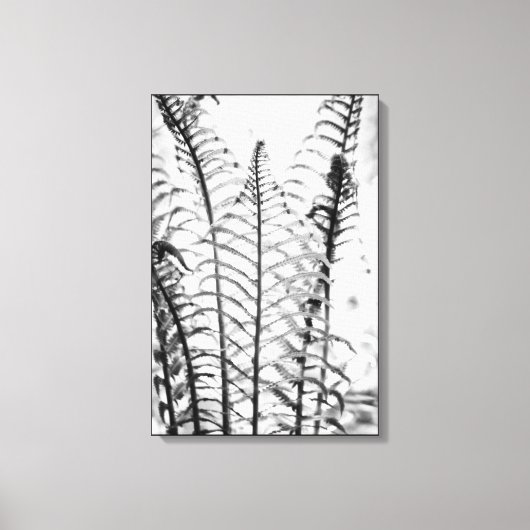 Minimalistisch fern Leaves Black en White Botanica Canvas Afdruk (Voorkant)