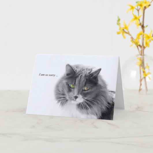 Minimalistisch kat Sympathie Kaart (Gele Bloem)