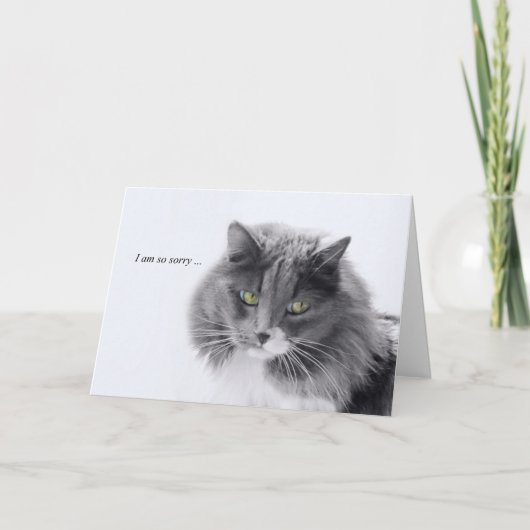 Minimalistisch kat Sympathie Kaart (Voorkant)