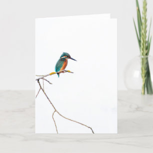 Minimalistisch Kingfisher op wit voor vogelaars Kaart