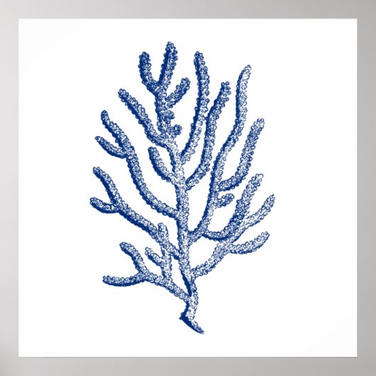 Minimalistisch koraal in blauw poster (Voorkant)