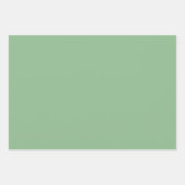 Minimalistisch modern lichtgroen inpakpapier vel (Voorkant)
