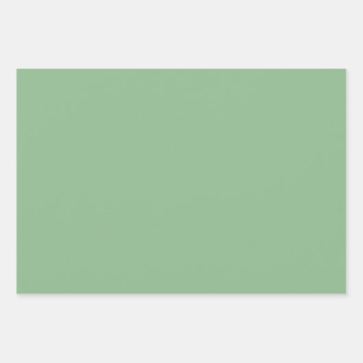 Minimalistisch modern lichtgroen inpakpapier vel (Voorkant)