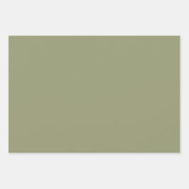 Minimalistisch Olijf Salie Groen Effen Kleur Inpakpapier Vel