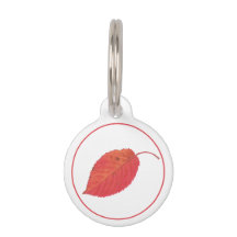 Minimalistisch rood herfstblad en huisdier info