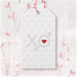 Minimalistisch rood wit XO XO hart Valentijnsdag Cadeaulabel