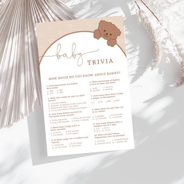 Minimalistisch Schattige Beer Baby shower Trivia S (Creator heeft geüpload)